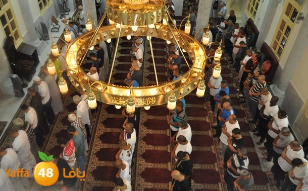 tarawe7 nozhas j (12).JPG